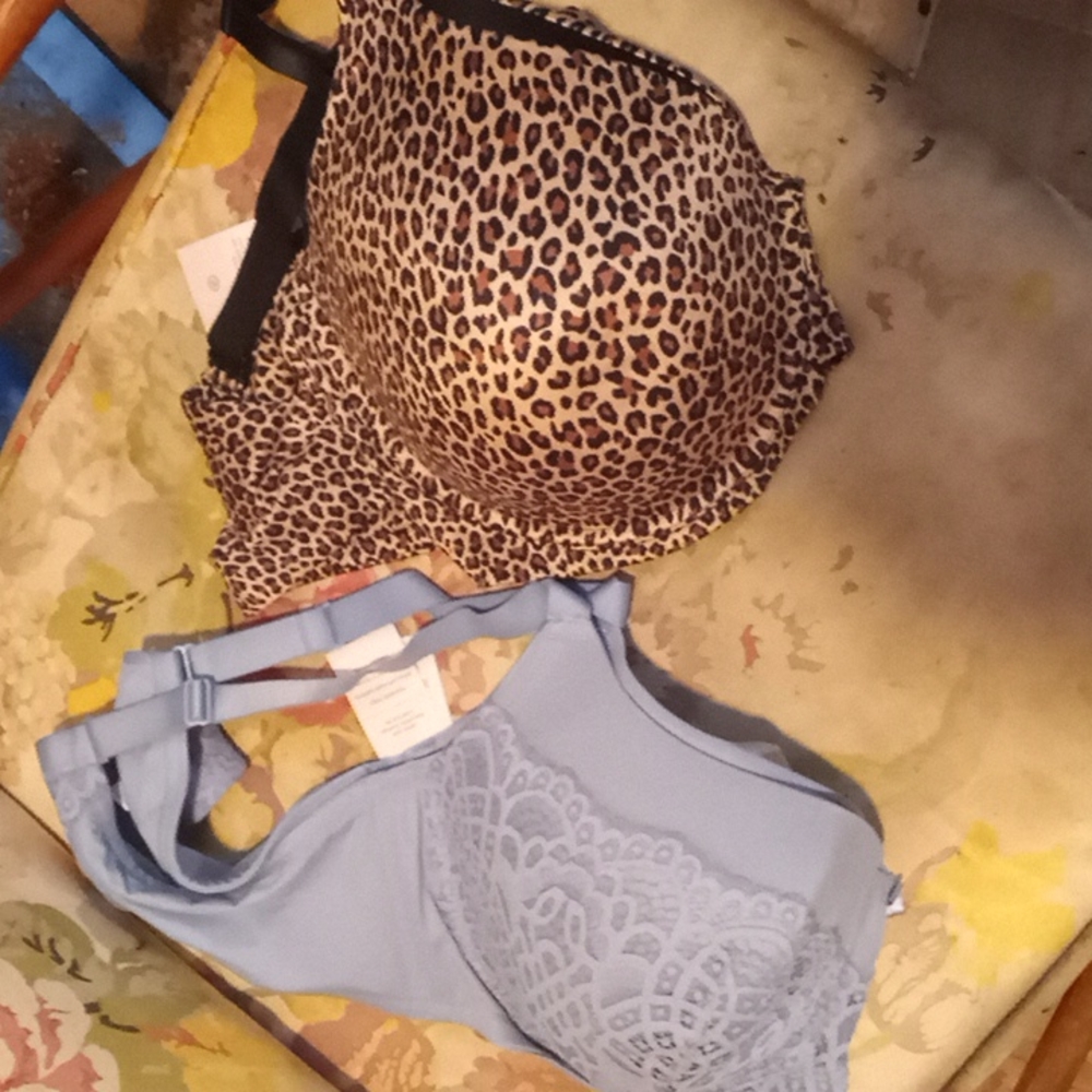 Bra